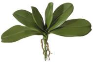 Feuillage et racines artificiels de Phalaenopsis 6 feuilles