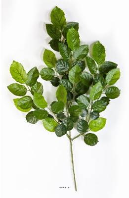Branche de hêtre artificiel Vert H 60 cm 59 feuilles