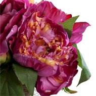 Bouquet de 3 Pivoines Fuchsia épanouies factices Corde & feuille H26cm