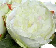 Bouquet de superbes Pivoines crème artificielles Hauteur 20 cm Top