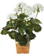 Granium artificiel en piquet crme 33 cm 6 ttes 37 feuilles