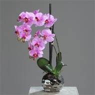 Orchidee artificielle 2 hampes en boule ceramique Argent H 50 cm Rose