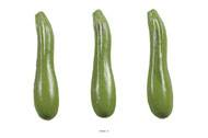 Courgette verte artificielle X 3 en Plastique soufflé L 180x40 mm