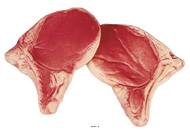 Cote de Porc crue artificielle X 2 en Plastique souffl� 135 x 100 mm
