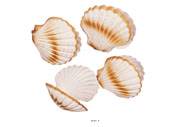Coquille saint jacques artificielle X 4 en Plastique soufflé D 120 mm