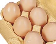 Œufs de poule artificiel en Plastique soufflé L 150x110 mm
