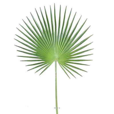 Feuille palmier Chamaerops artificielle H 150 cm D 80 cm polyurethane