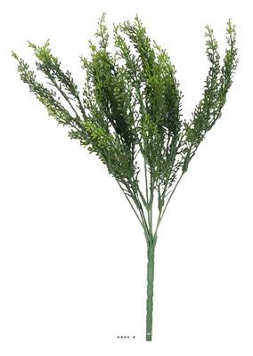 Setaire Isolepsis factice H35cm superbe buisson très dense en piquet