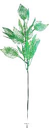 Branche de feuilles d'aponogeton factice H45cm plastique ext. Vert