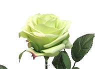 Rose factice Paris H64cm tête de D9cm 12 feuilles tissu Vert été -BEST