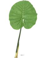 Feuille de Colocasia géante artificielle, H 95 cm - BEST