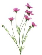 Cosmos artificiel en tige, H 92 cm Rose soutenu - BEST