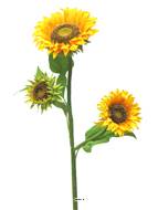 Tournesol artificiel en branche, 2 fleurs, un bouton, H 85 cm - BEST