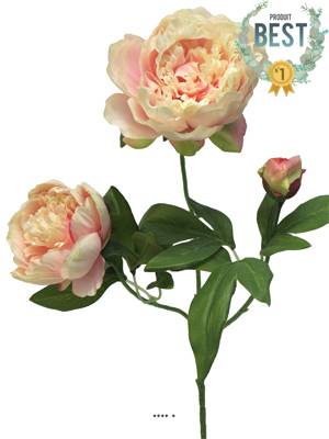 Pivoine artificielle ramifiée, 3 têtes, H 70 cm Rose pâle -  BEST