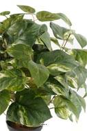 Pothos artificiel en pot H 40 cm, D 34 cm