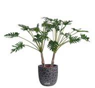 Philodendron artificiel en pot, 2 pieds, H 100 cm, D 128 cm