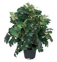 Cissus artificiel en pot, H 35 cm, D 23 cm