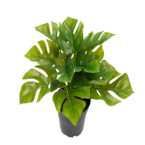 Philodendron artificiel en pot feuilles ouvertes H 17 cm D 21 cm