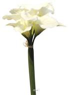 Bouquet d’Arum Calla artificiel, 12 têtes, H 45 cm Crème - BEST
