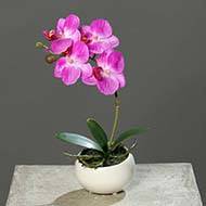 Orchidée phalaenopsis artificielle en coupe céramique H 25 cm Lavande