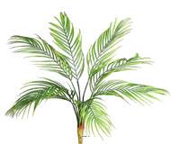 Piquet de 8 feuilles de Palmier Phoenix artificielles H 65 cm D 60 cm