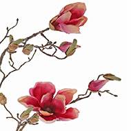 Branche de magnolia artificiel 4 fleurs 22 boutons H 107 cm Rose fushia