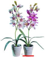 Grande orchidée artificielle en pot H 68 cm  Blanc rose