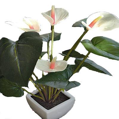 Superbe anthurium artificiel en pot H 41 cm  Vert-rose