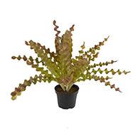 Fougère asplenium artificielle plastique en pot H 34 cm D 48 cm Crème vert