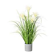 Herbe artificielle touffe en pot avec ses chatons H 66 cm