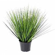 Fausse herbe touffe en pot H 60 cm D 60 cm