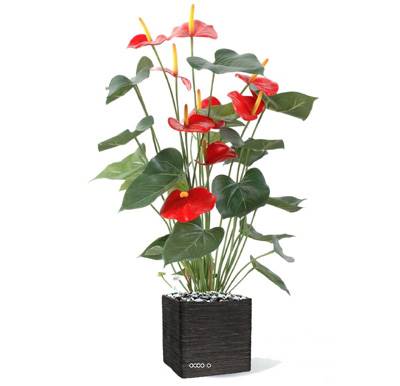 Anthurium artificiel en pot H 75 cm Lg 40 cm 9 superbes fleurs