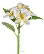 Frangipanier artificiel Jaune-Crème en branche fleurie H 28 cm