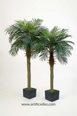 Palmier Phoenix H 180 cm 1 tronc 28 feuilles artificiel