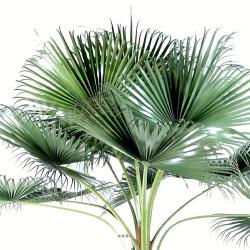 Palmier Chamaerops artificiel 690 cm de toute beaute