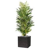 Palmier Areca artificiel H 220 cm 13 troncs en pot