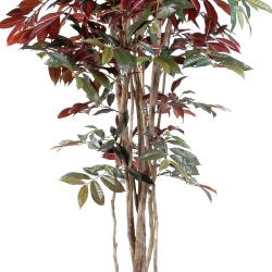 Capensia factice Tronc bois Feuillage rouge-Vert H170cm D90cm en pot