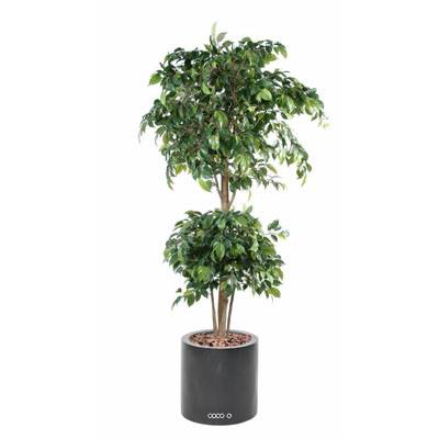 Ficus artificiel double boule H 180 cm Vert en pot