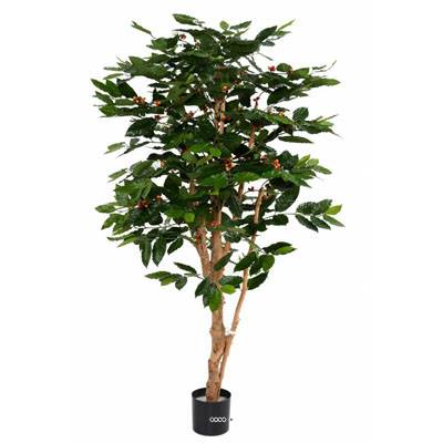 Cafeïer artificiel H 175 cm troncs noueux