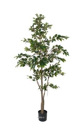 Ficus Benjamina Artificiel tronc PE en pot superbe H 210 cm D 105 cm Vert