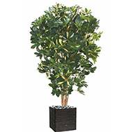 Superbe schefflera artificiel en pot multitroncs H 110 cm Vert-jaune