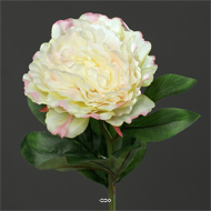 Pivoine artificielle crème Vert H 63 cm très belle tête