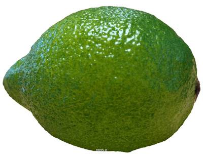 Citron vert artificiel L 8 50 cm lime