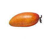 Mangue artificielle fruit exotique factice Longueur13 cm