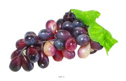Grappe de raisin factice L16 cm avec 2 feuilles 36 raisins Bourgogne