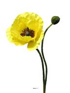 Pavot artificiel H60 cm 1 fleur et 1 bouton Superbe fleur Jaune - BEST