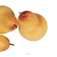 Poire William fruit Jaune rouge X 3 Plastique soufflé D 65x95 mm