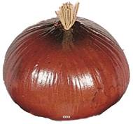 Oignon brun artificiel en lot de 3 en Plastique soufflé H 75x60 mm