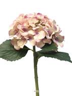 Hortensia artificiel en tige 1 tete 5 feuilles H 50 cm Top Rose