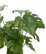 Philodendron artificiel en pot H 35 cm feuillage tergal